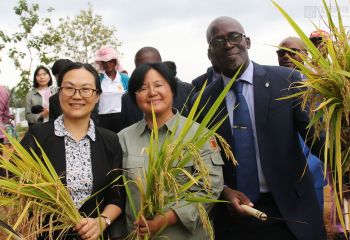 播种希望 庆贺丰收&mdash;&mdash;中国驻赤道几内亚大使亓玫，赤道几内亚农业、畜牧、森林和环境部部长阿卡波出席示范农场播种和收获活动