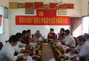 &ldquo;以粮为媒&ldquo;打造绿色大米产业链