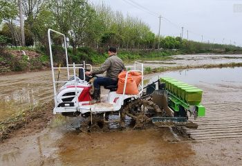 省工省力 精确播种&mdash;&mdash;冈上基地2020年机械精量穴直播技术示范